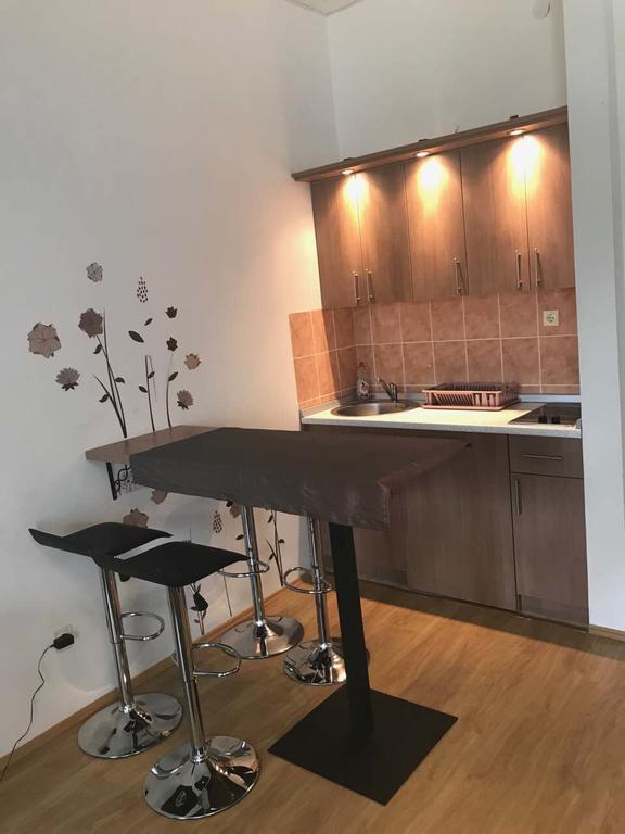 Felix Apartment Zlatibor